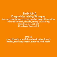 BIOTIQUE SHAMPOO BIOTIQUE SHAMPOO