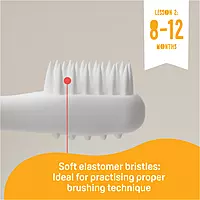 PIGEON BABY TRAINING TOOTHBRUSH LESSON 2 PIGEON BABY TRAINING TOOTHBRUSH LESSON 2