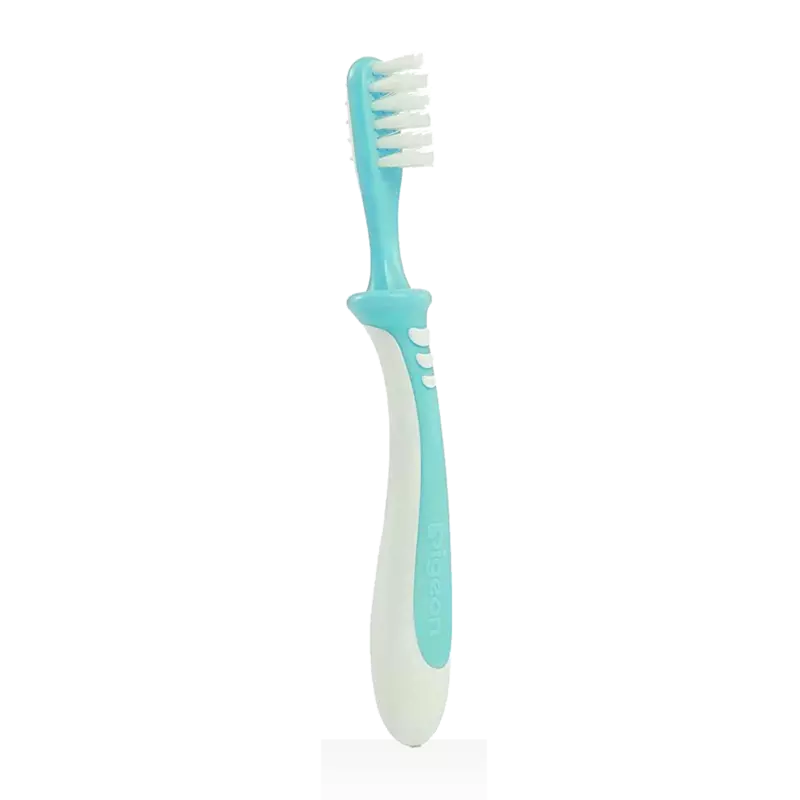 PIGEON BABY TRAINING TOOTHBRUSH LESSON 3 PIGEON BABY TRAINING TOOTHBRUSH LESSON 3