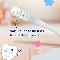 PIGEON BABY TRAINING TOOTHBRUSH LESSON 4 PIGEON BABY TRAINING TOOTHBRUSH LESSON 4