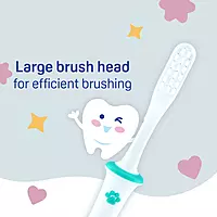 PIGEON BABY TRAINING TOOTHBRUSH LESSON 4 PIGEON BABY TRAINING TOOTHBRUSH LESSON 4