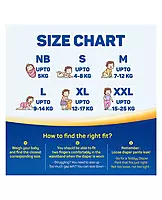 TEDDYY PREMIUM DIAPER PANTS - MEDIUM (M) TEDDYY PREMIUM DIAPER PANTS - MEDIUM (M)